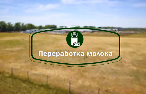 Переработка молока